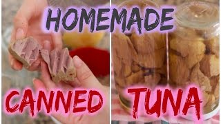 Homemade Canned Tuna  Yummy [upl. by Hagile]