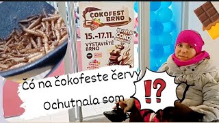 Výstavisko Brno čokofest aj červíkofest 😂🦠 na vozíku ♿ Česko [upl. by Fionnula701]