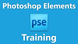 Learn How to Create Moving Elements in Adobe Photoshop Elements 2023 A Training Tutorial [upl. by Williams591]