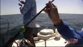 Carolina Fishing TV  Season 317  Nearshore False Albacore [upl. by Gianni952]