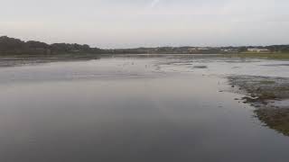 Hayle Estuary Cornwall [upl. by Bone]