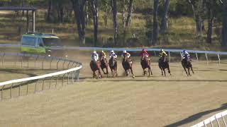 Gayndah 20240608 Race 4 [upl. by Silda]