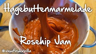 Rezept selbstgemachte Hagebuttenmarmelade  Recipe homemade Rosehip Jam [upl. by Robb]