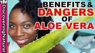 BENEFITS amp DANGERS of ALOE VERA  Hair Loss Treatment and Dandruff Treatment  Natural Hair [upl. by Eadith]