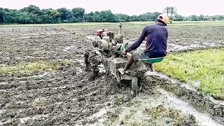 sifang power tiller video  paddy land plowing with sifang power tiller [upl. by Nairb]