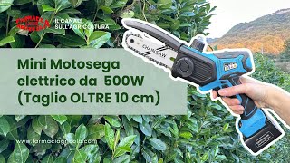 Migliore Mini motosega elettrica per potatura  PS550 da 500W [upl. by Annaert746]