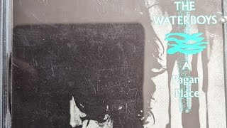 THE WATERBOYS a pagan place FULL ALBUM [upl. by Hezekiah]