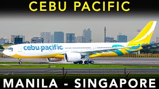 CEBU PACIFICs massive 459 SEAT Airbus A330900neo  Manila to Singapore  TRIP REPORT [upl. by Mis318]