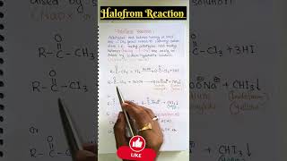 ❌ Halofrom Reaction 🔥🔥🔥 shorts neet iitjee jeemains boards viralshorts [upl. by Mccurdy681]