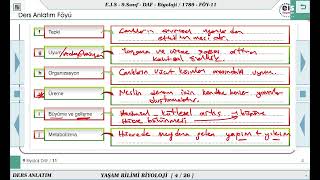 9 Sınıf Biyoloji  Yaşam Bilimi Biyoloji Ünite Tekrar  11 🔬 [upl. by Polish836]