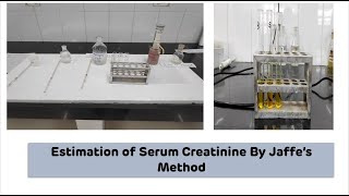 Estimation of Serum Creatinine By Jaffes Method on Colorimeter  Biochemistry Practical [upl. by Nnyletak]