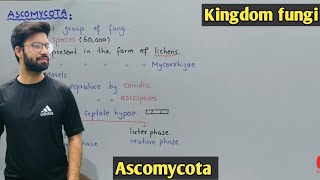 Ascomycota life cycle  Characteristics  Class 11 Biology [upl. by Cyler558]