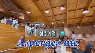 Asperges me 아스뻬르제스 메  상현동성당 쉐마성가대  2024년 8월 4일  성수예절 [upl. by Annaed]