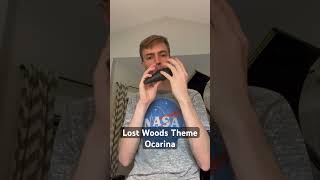 Lost Woods Theme on Ocarina ocarina [upl. by Eirehs]