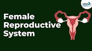 Female Reproductive System  Infinity Learn NEET [upl. by Barbara270]