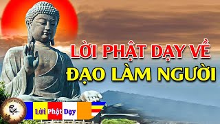 Lời Phật Dạy Về Đạo Làm Người rất hay P1  Phật pháp Nhiệm màu [upl. by Sherburn837]