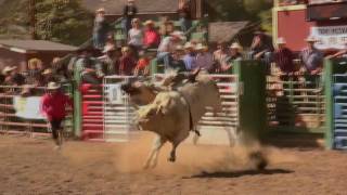 Fortuna Rodeo 2009 Bull Riding Biff Reel [upl. by Perkoff]