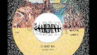 ARMANDO HERNANDEZ TE CAIGO MAL 45rpm DJEL SARDINAwmv [upl. by Iat]