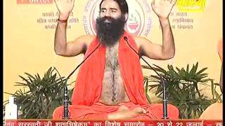 20110722NISHULK AVASIYA YOG SHIVIR HARIDWAR BABA RAMDEVmp4 [upl. by Ailatan231]