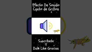 Crickets Sound Effect  Grillos Efecto de Sonido Shorts [upl. by Gaylor]