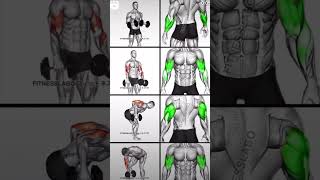 Best Forearms workout 💗Forearms exercise kro aur ns dikhao exercise viral shorts body fitness [upl. by Sucramrej]