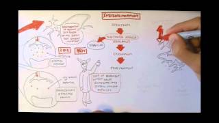 Neurodegenerative Disorder II  Parkinsons and Huntingtons [upl. by Dyun]