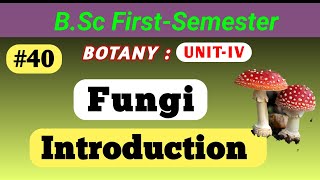 Fungi Introduction  General Characteristics Nutrition life Cycle reproduction  bsc msc fungi [upl. by Dexter]