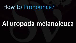 How to Pronounce Ailuropoda melanoleuca Giant Panda [upl. by Yrahcaz]