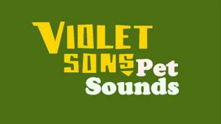 Violet Sons  Pet Sounds Instrumental Cover The Beach Boys [upl. by Eanahc]