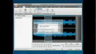 How to apply filters and effects to audio track using AVS Audio Editor [upl. by Rowan27]