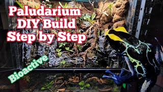 How To Build A Paludarium DIY In Depth Tutorial paludarium bioactive [upl. by Araiek]