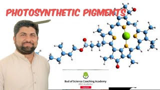 Photosynthetic pigments  Lipid soluble  Water soluble  Universal pigment  Non universal pigments [upl. by Alanna]