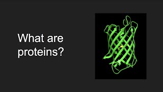 Introduction to Proteins Structure Function Evolution [upl. by Farl546]