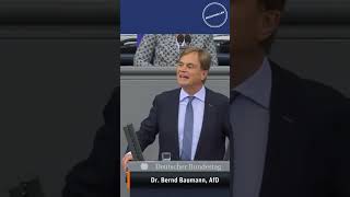 Rede Bernd Baumann AfD 1 [upl. by Acinoryt]