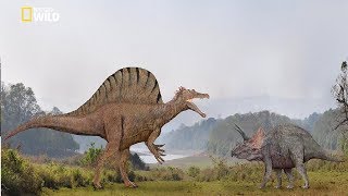 National Geographic  Spinosaurus Dinosaur Bigger Than T Rex  New Documentary HD 2018 [upl. by Karon]