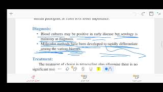 microbiology lab7 part2 brucella [upl. by Bertina892]