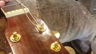 Restring a 6 String Acoustic [upl. by Bathsheb636]