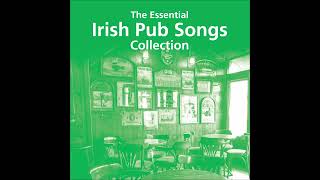 The Essential Irish Pub Songs Collection  22 Classic Irish Drinking Songs  irishdrinkingsongs [upl. by Ainitsirhc]