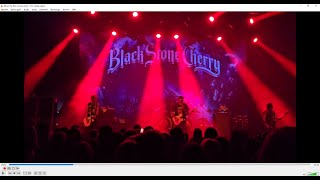 Black Stone Cherry  When the Pain Comes Live in Munich Muffathalle 12 Nov 2024 [upl. by Risley]