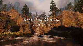 A Relaxing Nature Escape  The Elder Scrolls V Skyrim  Ambience and Relaxation [upl. by Herculie]