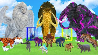 5 Giant Mammoth Elephant Cow vs 5 Giant Lion Tiger vs Monster Trex Wolf Saved By Mastodon Mammoth [upl. by Sanjay23]