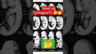 What is Ontogeny 🤔 shorts study csir gate 2024 🔥🔥🔥🔥 [upl. by Nnel255]