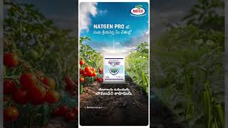 Protect Your Crops with NATGEN PRO Advanced CTPR Granules [upl. by Florry630]