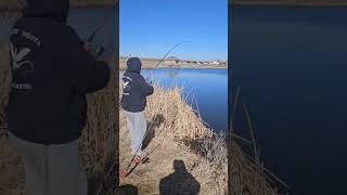 No skunks yet 2 bullheads is better than no bullheads lolfishing fun friends gottem subscribe [upl. by Enomas]