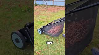 EcoFriendly CleanUp Manual Lawn Sweeper for a Perfect Garden 🍂🌱 shorts [upl. by Detta]