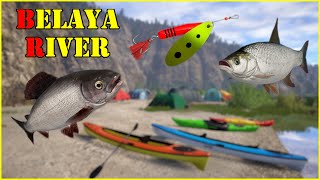 Belaya River na Podstawowy zestaw spiningowy  Russian Fishing 4 73 [upl. by Zahc]