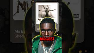 What Happened to Sheck Wes [upl. by Nrehtac]