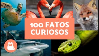 100 CURIOSIDADES sobre ANIMAIS SELVAGENS 🦊🐸 Elas vão te surpreender [upl. by Einnaffit]