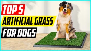 Artificial Grass for Dogs Top 5 Picks [upl. by Valaria]