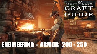 New World CRAFT ENGINEERING e ARMOR 200250 Level Guide FAST [upl. by Ybor]